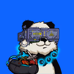 Paladin Panda#6089
