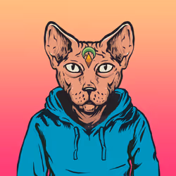 94