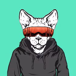 677