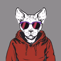 SphynxNFT #248