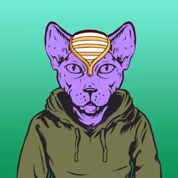 50