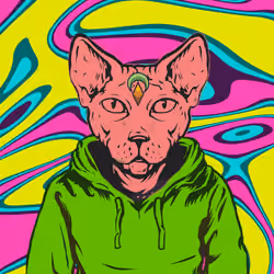 300