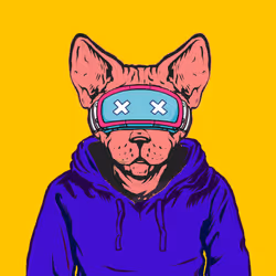 501