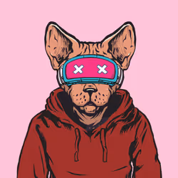 578