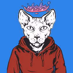 1053
