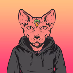 SphynxNFT #305