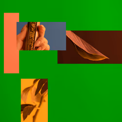 THE OBJECT CHRONICLES #587