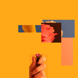 THE OBJECT CHRONICLES #744