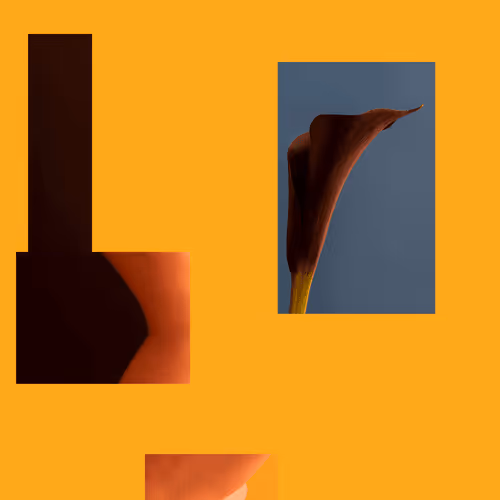 The Object Chronicles Official