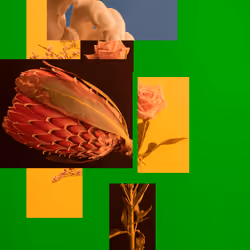 THE OBJECT CHRONICLES #586