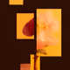 63
