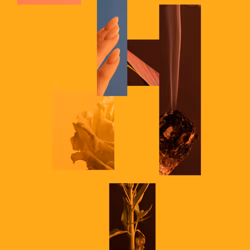 The Object Chronicles Official