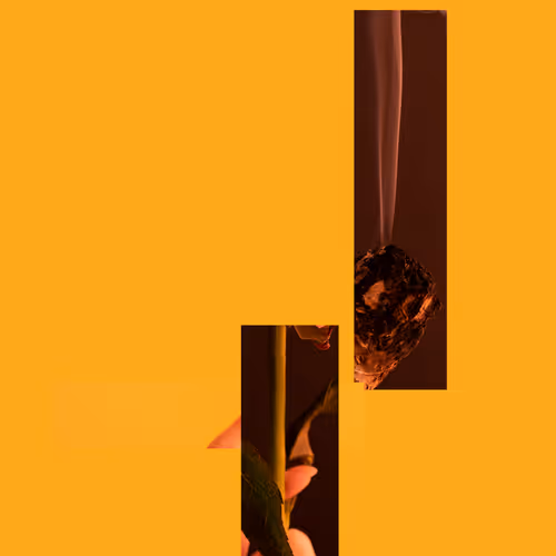 THE OBJECT CHRONICLES #629