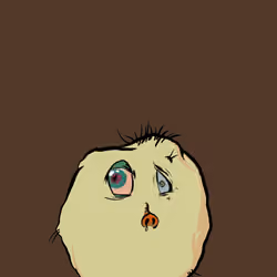 Potato #583