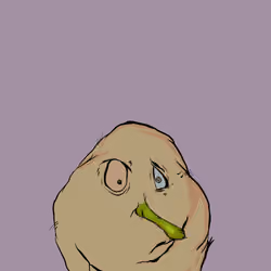 Potato #585