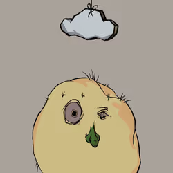 Potato #543
