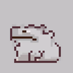 Capie [6465]