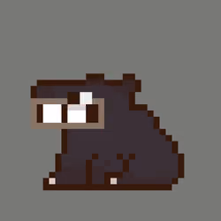 Capie [8813]