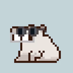 Capie [4250]