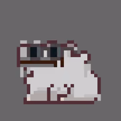 Capie [8929]