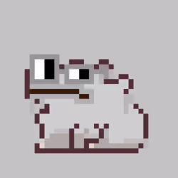 Capie [5685]