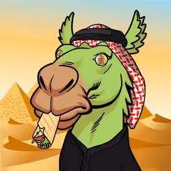 Dubai Camel #2182