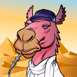 Dubai Camel #1870