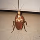 327