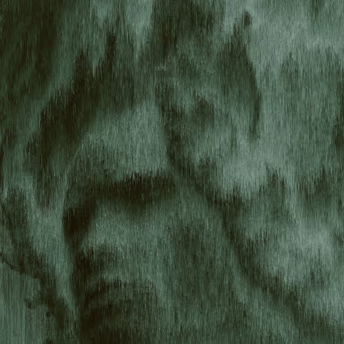Virga By William Watkins