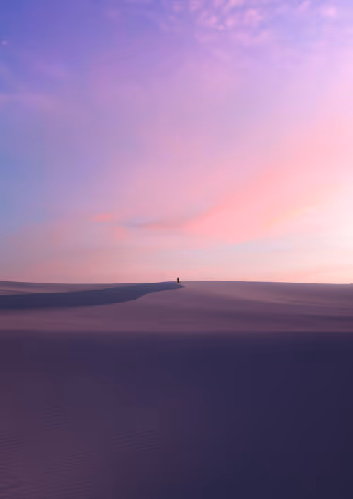 Item #7000100036 Media