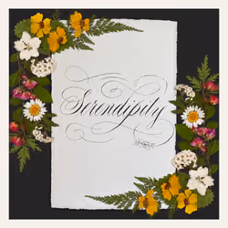 HolyScript #366