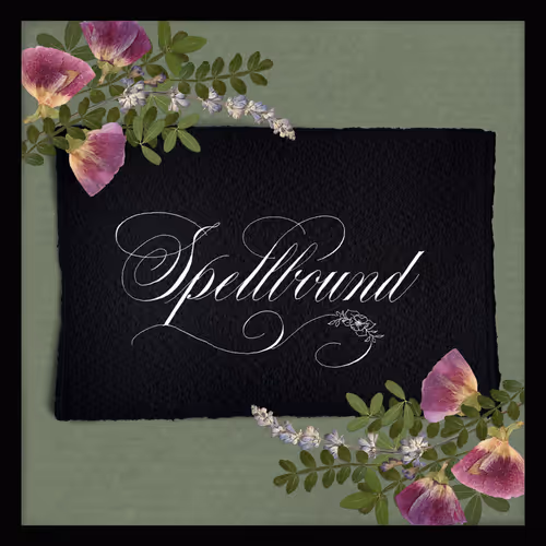 Holy Script