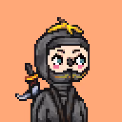 Degen Ninja #1361