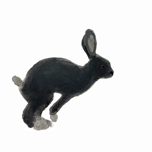 Little Illustrations