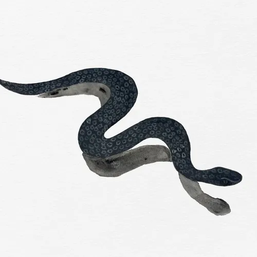Wiggly Snake