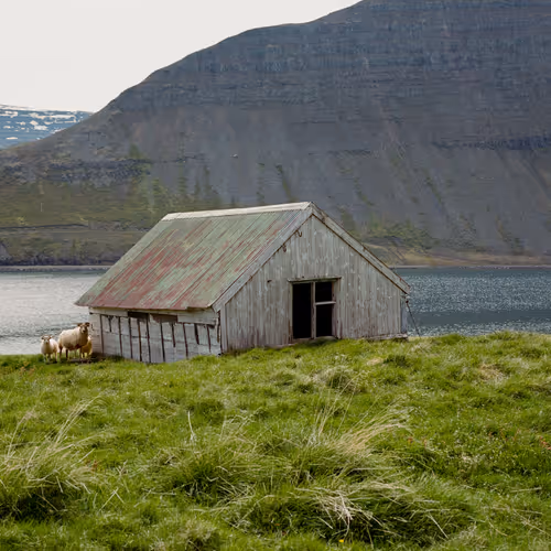 Island 118