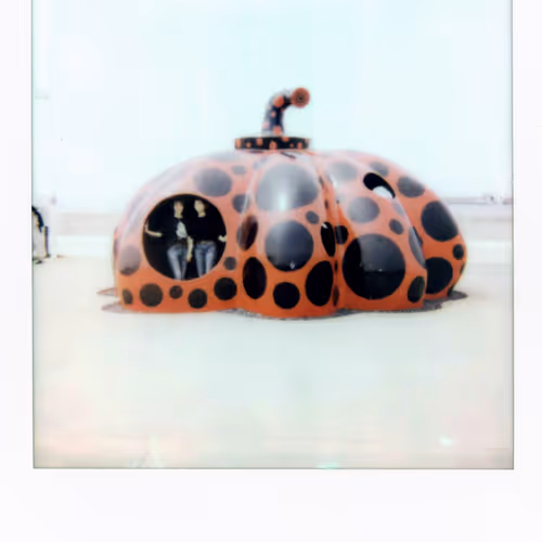 Moments Of The Unknown Polaroids