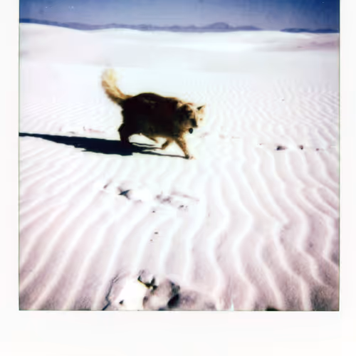 Moments Of The Unknown Polaroids
