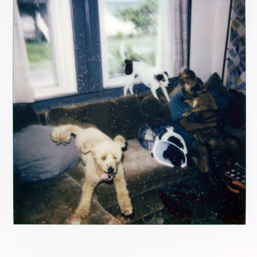 Moments Of The Unknown Polaroids