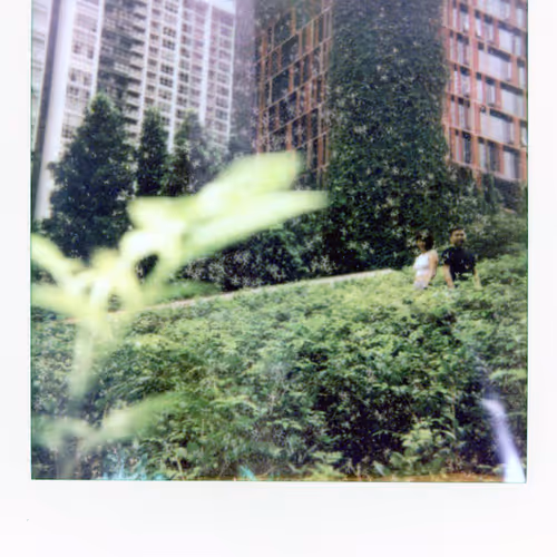 Moments Of The Unknown Polaroids