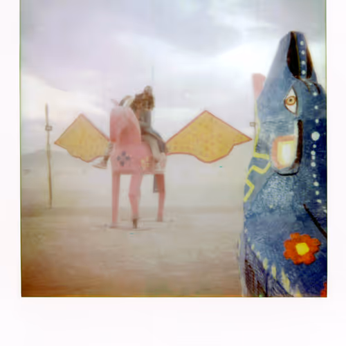 Moments Of The Unknown Polaroids