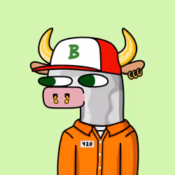 Ballish Bulls #43