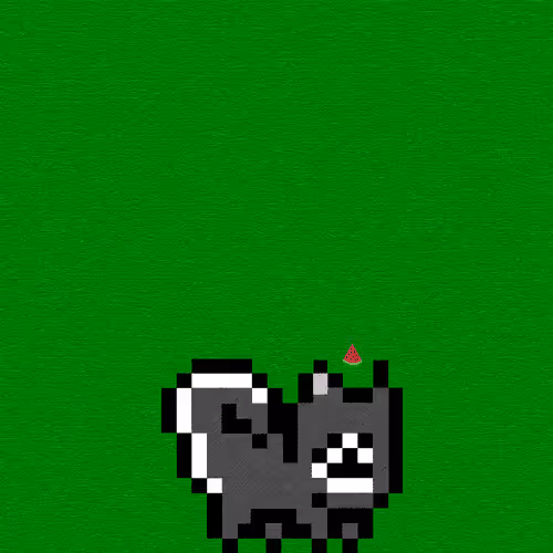 Pomeraniansnft