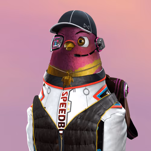 The Pigeon Flight Club