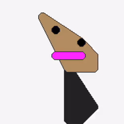 657