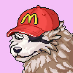Alpha Wolf #695