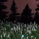 73