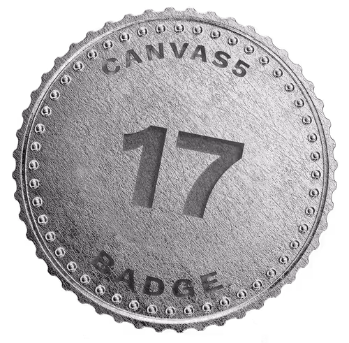 Item #17 Media