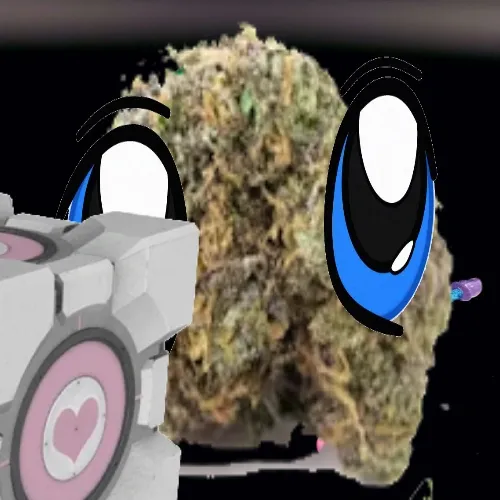 Canna-Buddiez #538