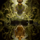 Narcissus' Obsession